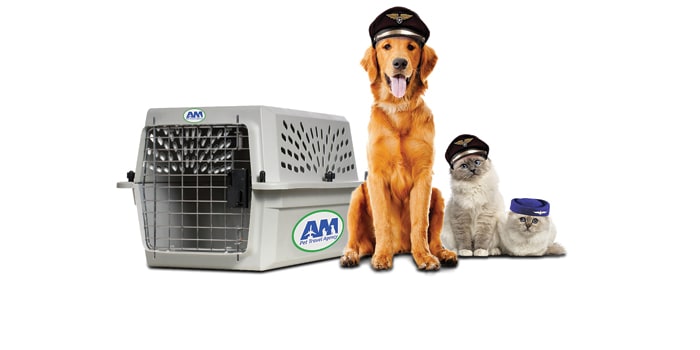 Home - AM Pet Travel Agency